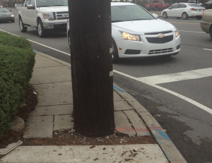 a public sidewalk path that is obstructed by a large wooden utility pole installed in the middle of the sidewalk.