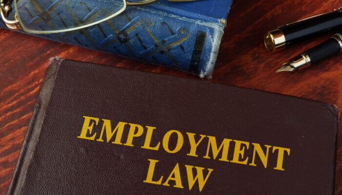 California Employment Law Book