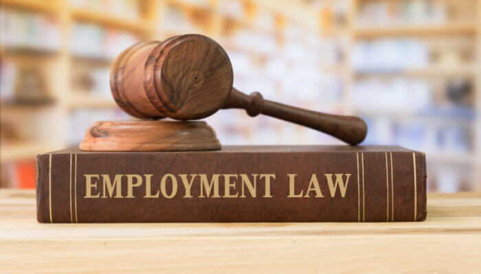 California Employment Law Book
